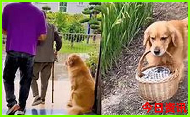 河南旅游攻略自由行路线